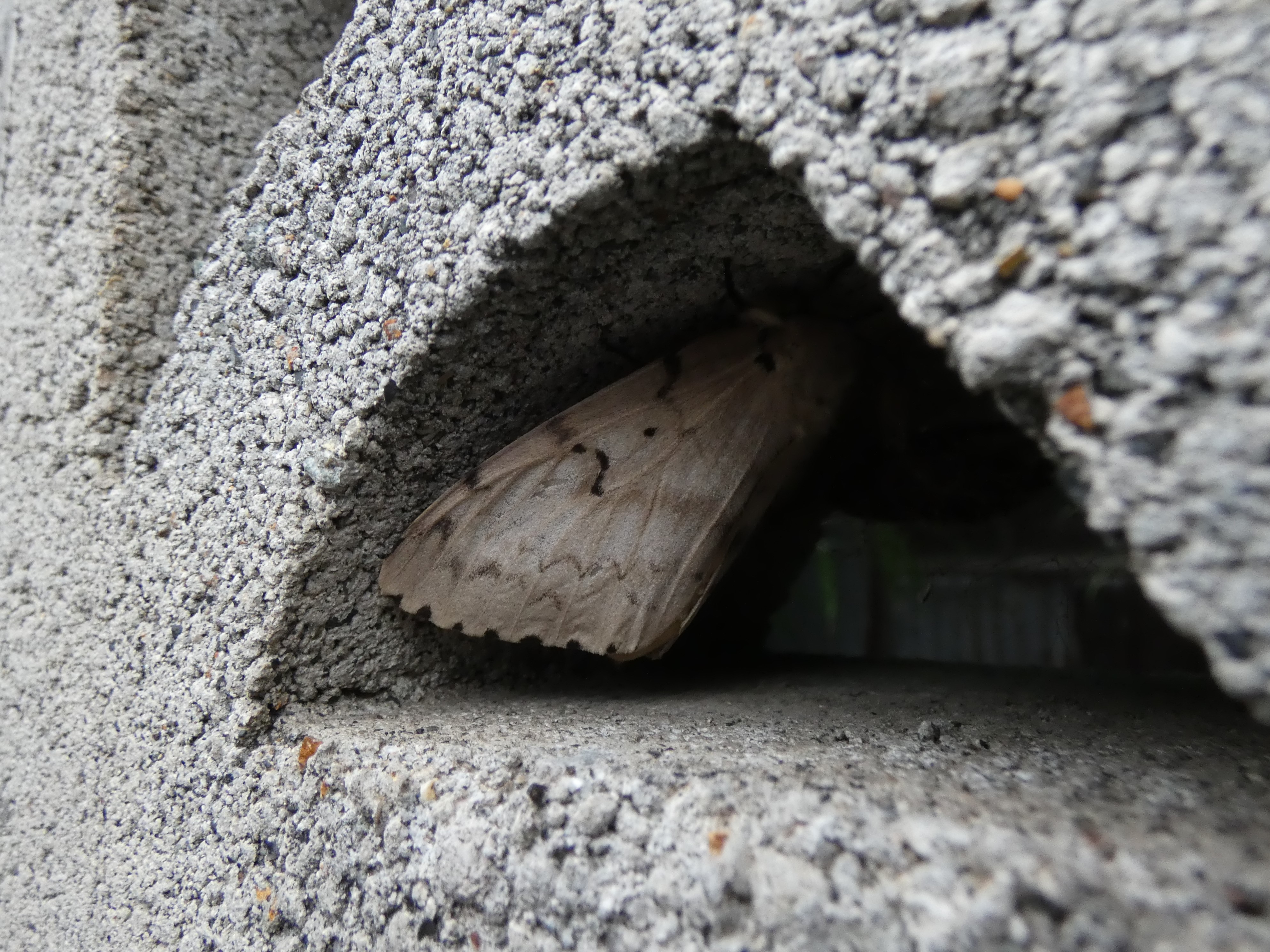 photo_3